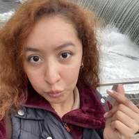 Looking for a roommate in Central, Far North Side, North Side, South Side - Chicago