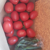 Looking for a roommate in Outer Denver - Denver