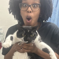 Looking for a roommate in Manhattan, Queens - New York