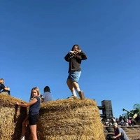 Looking for a roommate in Powderhorn - Minneapolis