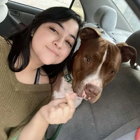 Looking for a roommate in Sw Dallas, Arlington - Dallas