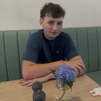 Looking for a roommate in Metro Area - Boston