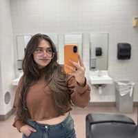 Room for rent in Carrollwood - North Tampa, Tampa