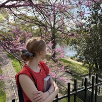 Looking for a roommate in Central Charlotte - Charlotte