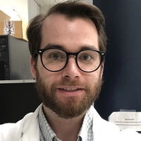 Looking for a roommate in Manhattan, Brooklyn - New York