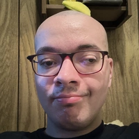 Looking for a roommate in City Centre - Calgary