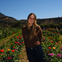 Looking for a roommate in Manhattan - New York