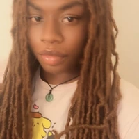 Looking for a roommate in West Houston - Houston