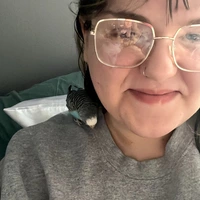 Looking for a roommate in Manhattan, Brooklyn, Queens, The Bronx - New York