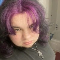 Looking for a roommate in Central Tampa, North Tampa, West Tampa, Clearwater-St. Petersburg - Tampa