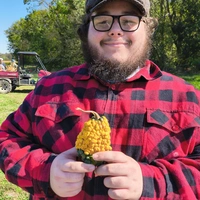 Looking for a roommate in KCMO, KCK, Outer KCK - Kansas City