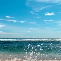 Looking for a roommate in Downtown TO, Mississauga, Southern Ontario - Toronto