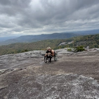 Looking for a roommate in Central Raleigh, North Raleigh, Outer Triangle, South Raleigh - Raleigh