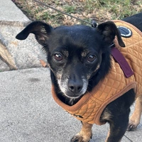 Looking for a roommate in Central Los Angeles, Westside / South Bay, San Fernando Valley, Southeast, The Verdugos, San Gabriel Valley - Los Angeles