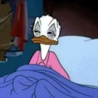 Looking for a roommate in Broward County, Miami - Miami