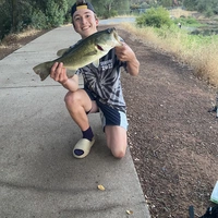 Looking for a roommate in NE Valley, SE Valley - Phoenix