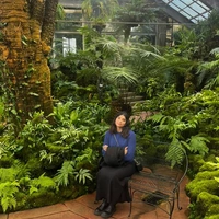 Looking for a roommate in Manhattan - New York