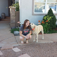 Looking for a roommate in Mississauga, Scarborough - Toronto