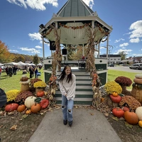 Looking for a roommate in Manhattan, Brooklyn, Jersey City / Hoboken - New York