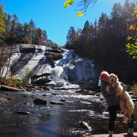 Looking for a roommate in NE Indy - Indianapolis