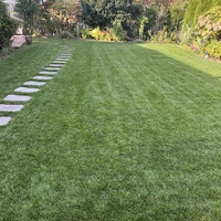 Looking for a roommate in Manhattan, The Bronx, Jersey City / Hoboken - New York