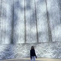 Looking for a roommate in Downtown TO, Midtown TO - Toronto