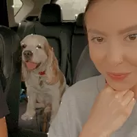 Room for rent in South Parkdale - West TO, Toronto