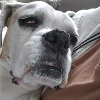 Looking for a roommate in University - Minneapolis