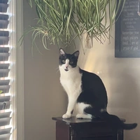 Room for rent in Okotoks - Outer Calgary, Calgary