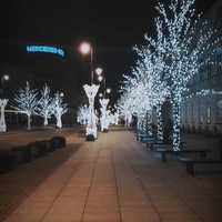 Room for rent in Cameron Park - Central Raleigh, Raleigh