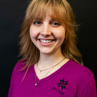 Looking for a roommate in Central - Chicago