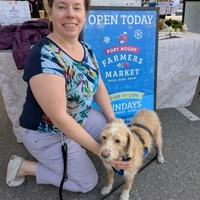 Room for rent in Kensington-Cedar Cottage - East Van, Vancouver