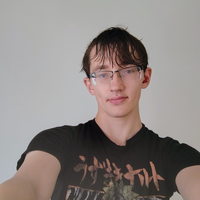 Looking for a roommate in Central Charlotte - Charlotte