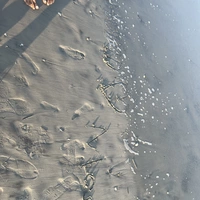 Looking for a roommate in Brooklyn, Queens - New York