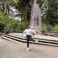 Looking for a roommate in NE DC, NW DC - Washington DC