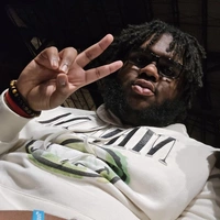 Looking for a roommate in Inner Loop, Se Houston - Houston