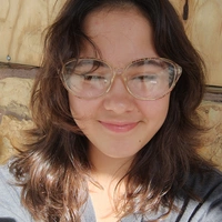 Looking for a roommate in South Tampa, Clearwater-St. Petersburg - Tampa