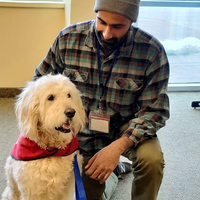 Looking for a roommate in York Region, West TO, Midtown TO - Toronto