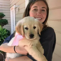 Looking for a roommate in Boston, Cambridge, Somerville, South Shore - Boston