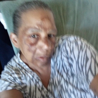 Looking for a roommate in Central Los Angeles, Westside / South Bay, The Harbor, Southeast, Inland Empire - Los Angeles