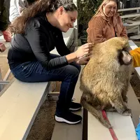 Room for rent in North Hills - San Fernando Valley, Los Angeles