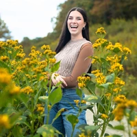 Looking for a roommate in Central Charlotte - Charlotte