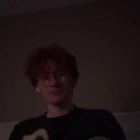 Looking for a roommate in Central Charlotte - Charlotte