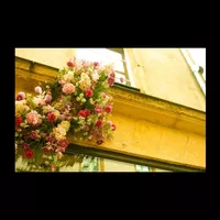 Looking for a roommate in Downtown TO, Etobicoke, West TO - Toronto