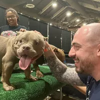 Room for rent in Santa Ana - Orange County, Los Angeles