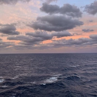 Looking for a roommate in Central Charlotte, North Charlotte, South Charlotte, East Charlotte, West Charlotte - Charlotte