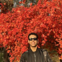 Room for rent in University of Toronto - Downtown TO, Toronto