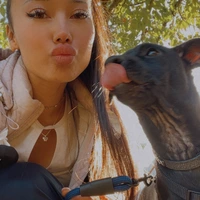 Looking for a roommate in North Portland, NW Portland - Portland