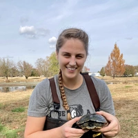 Looking for a roommate in Nw Dallas, Sw Dallas, Forth Worth, Arlington, North Dfw - Dallas