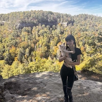 Looking for a roommate in Central Indy, North Indy - Indianapolis